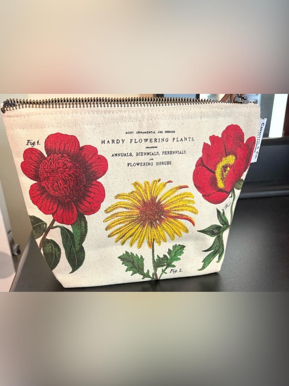 Cavallini and company botanical vintage pouch